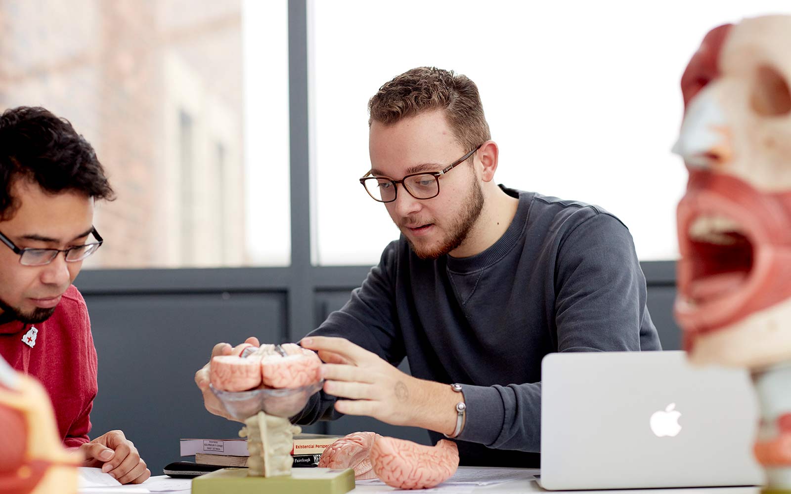linguistics student with brain