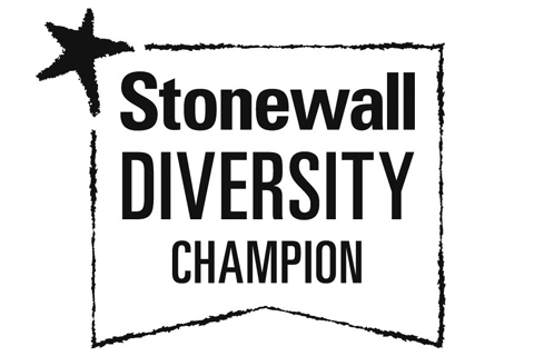 Stonewall Diversity Champion logo