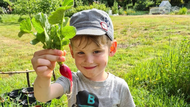 Young boy at York St John Allotment