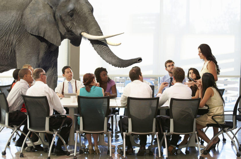 elephant in boardroom