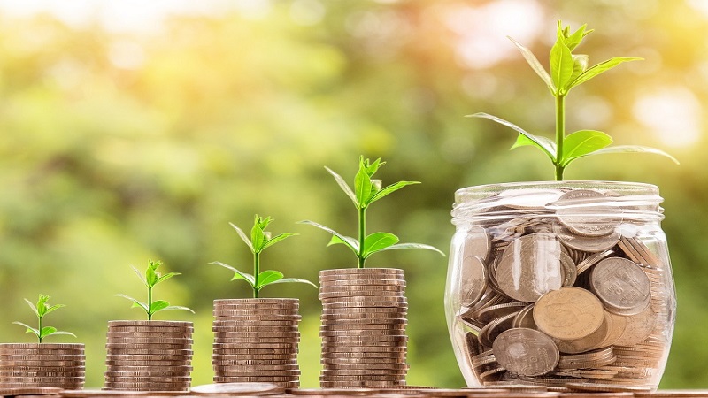 Pots of money with plants growing from them