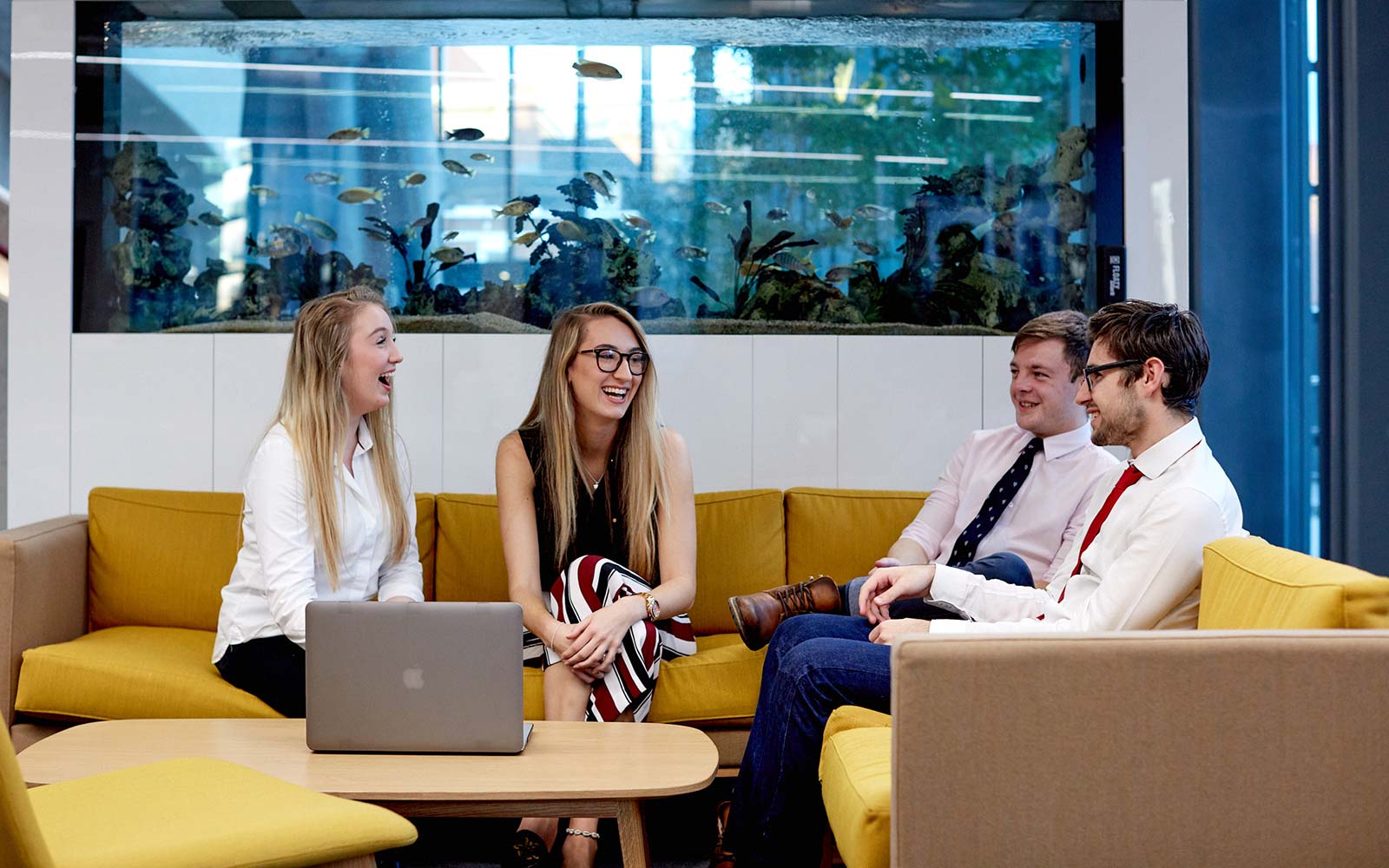 Business students working together with a laptop on a table.