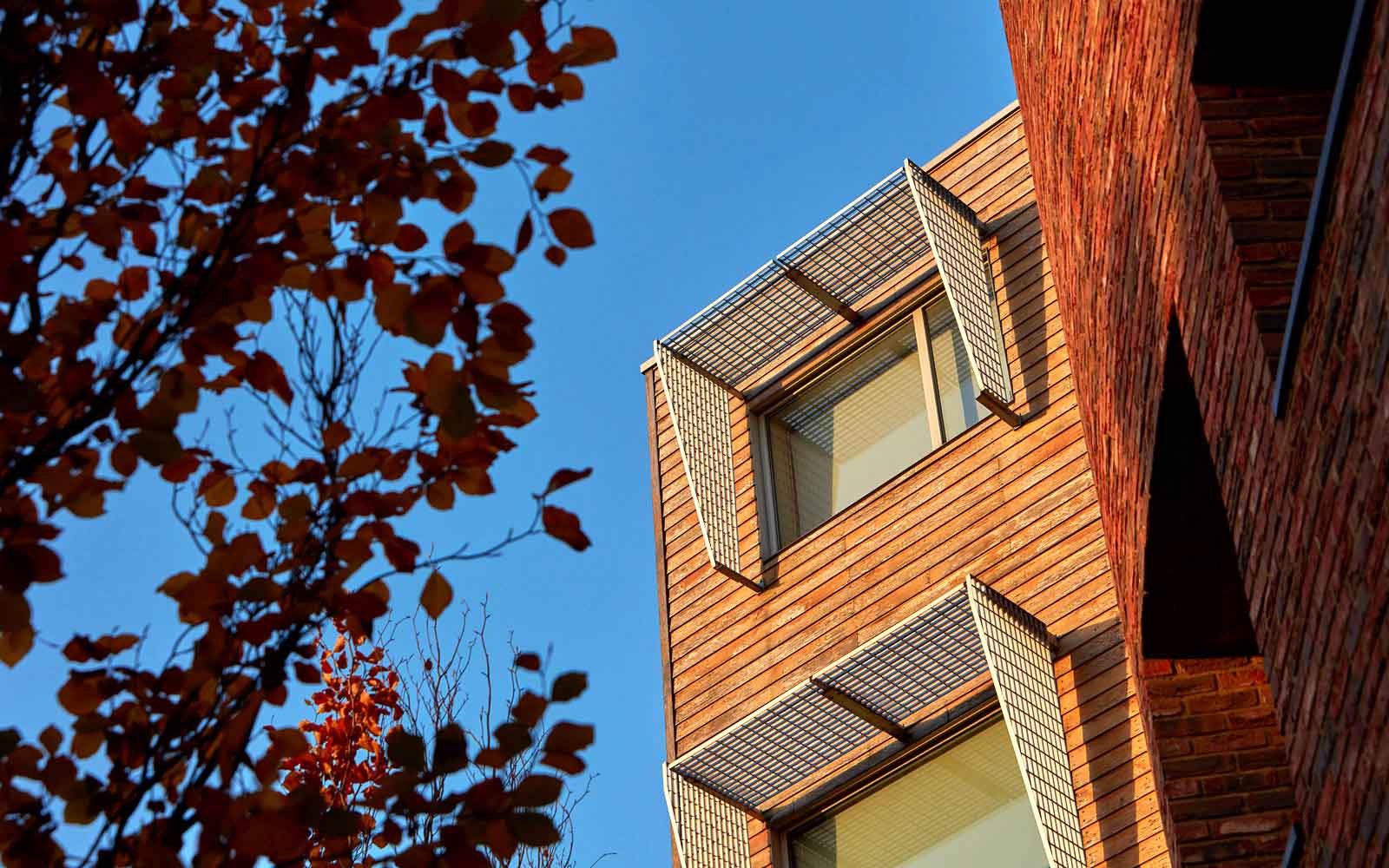 Shot of the side of De Grey building on campus