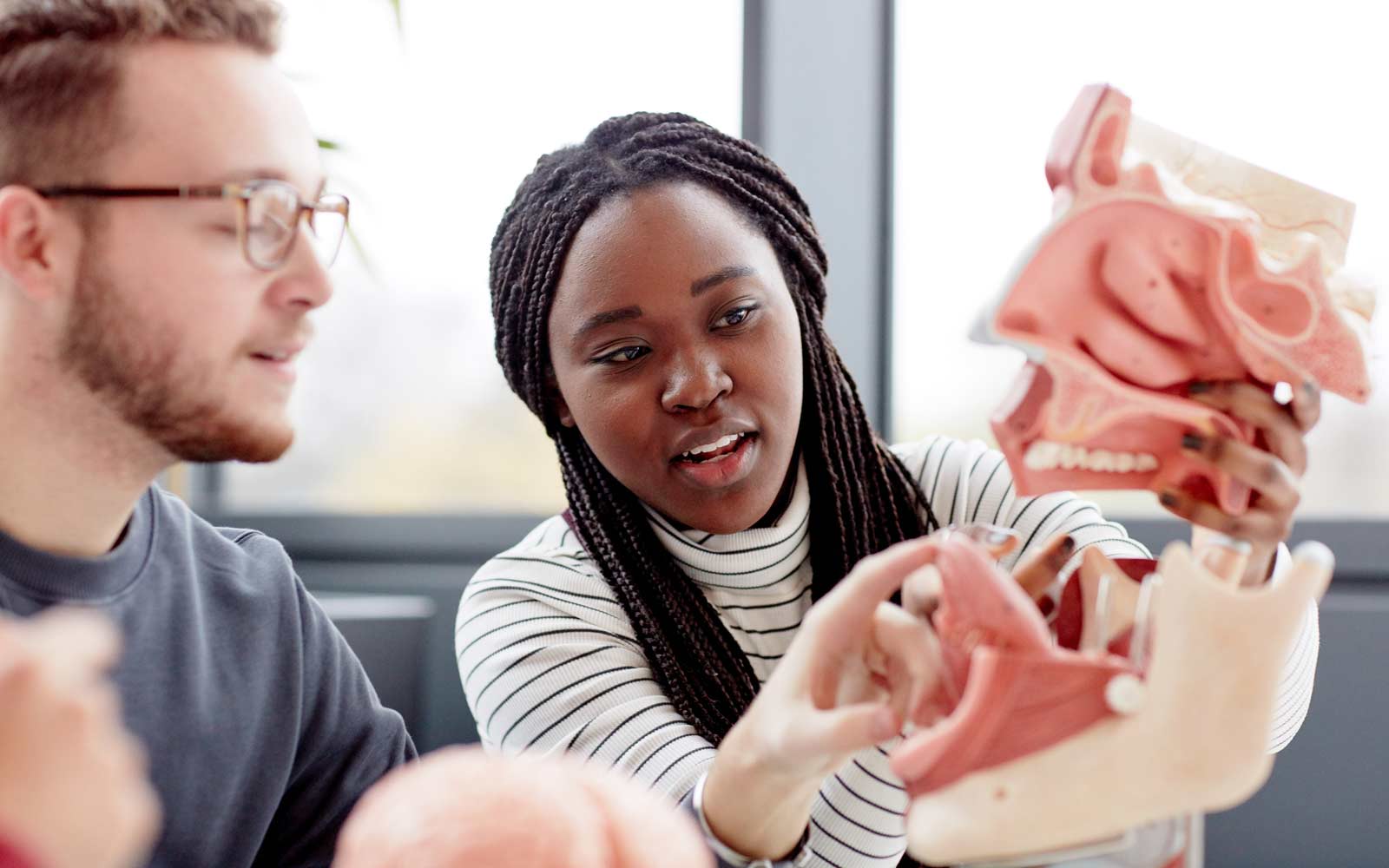 Language and linguistics students examining a model of a human mouth.