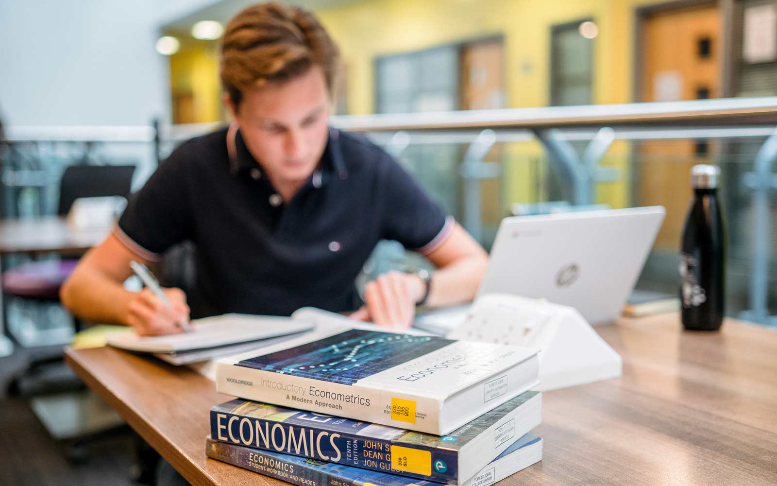 A student studying in the library using economics textbooks and a laptop.