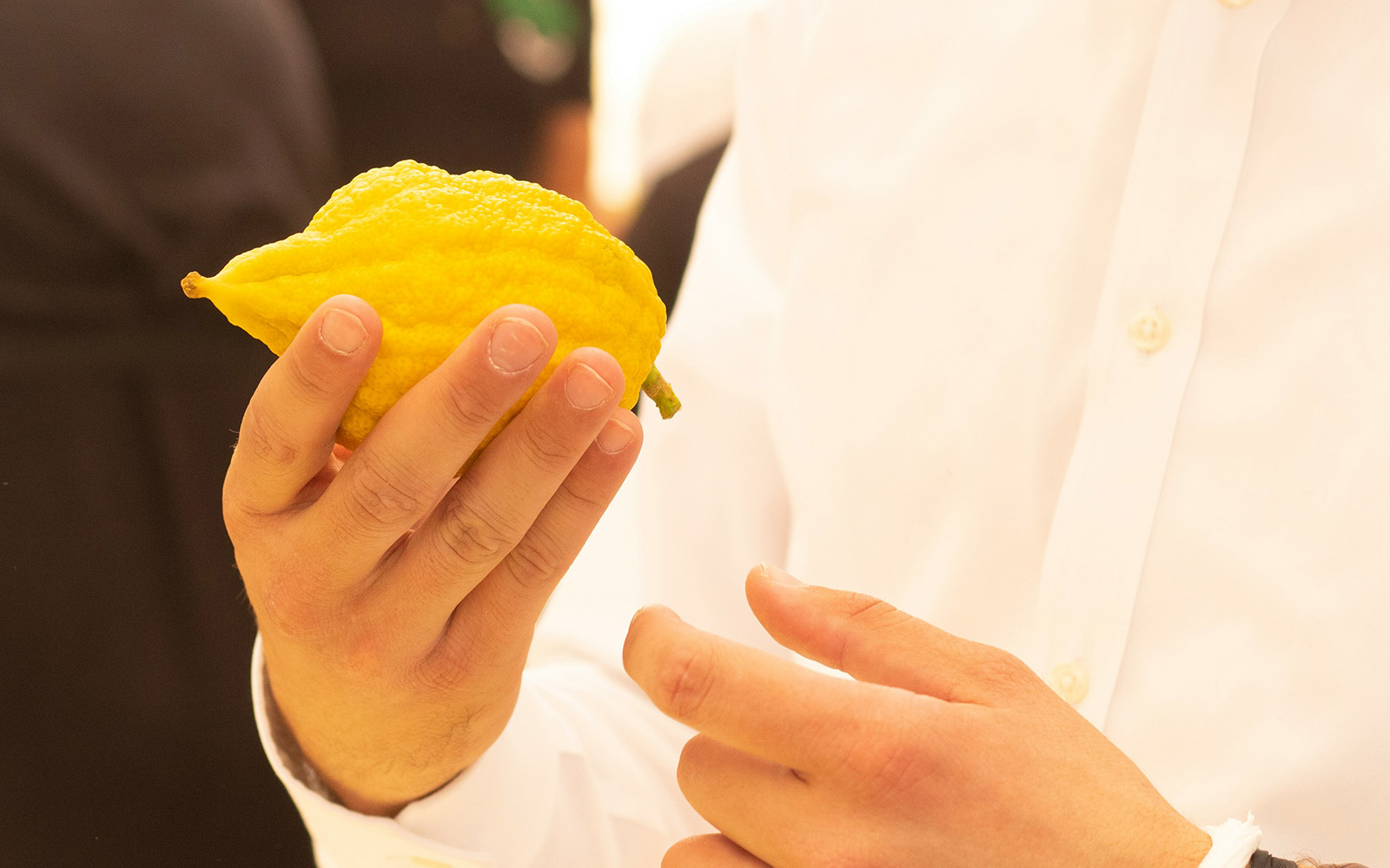 A person holding an etrog during Sukkot