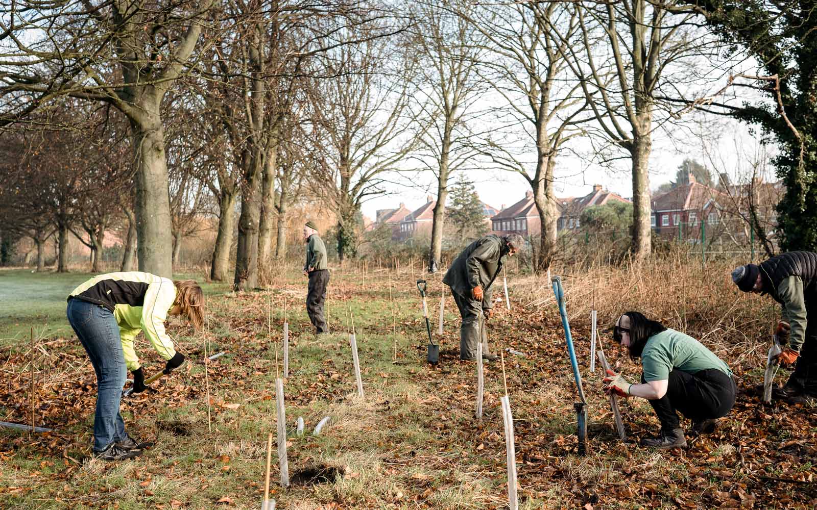Members of he York St John community planting trees together.