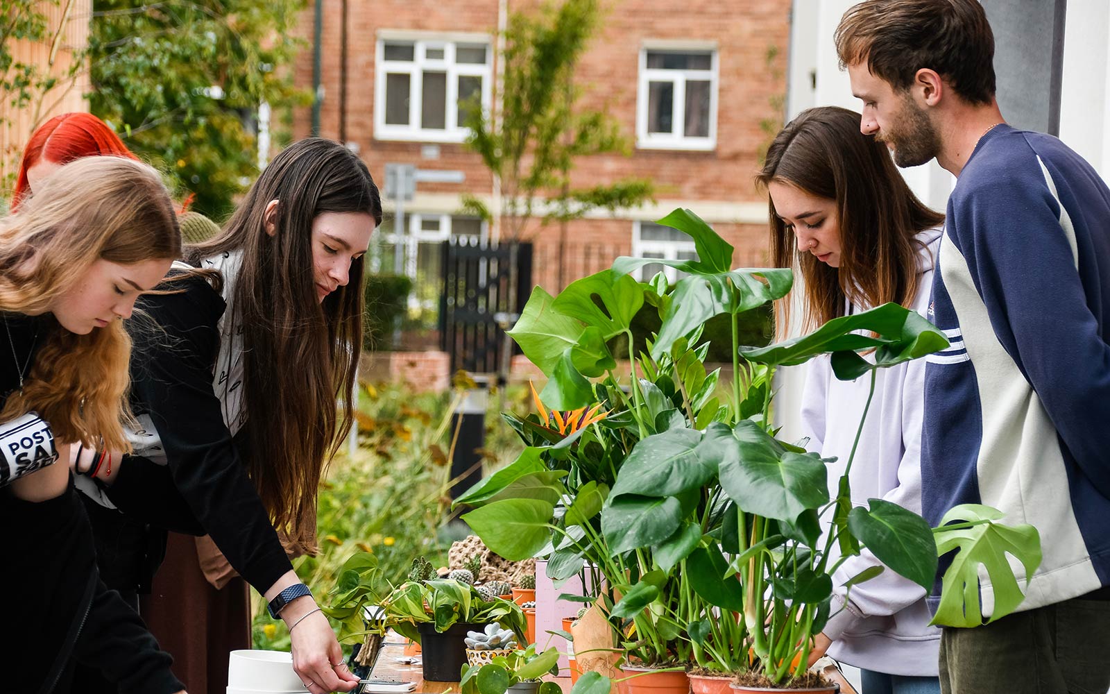 Students outside looking at table of plants for sale during Welcome Week