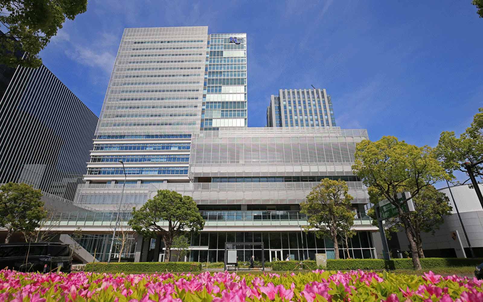 Tall modern buildings with a foreground of pink flowers.