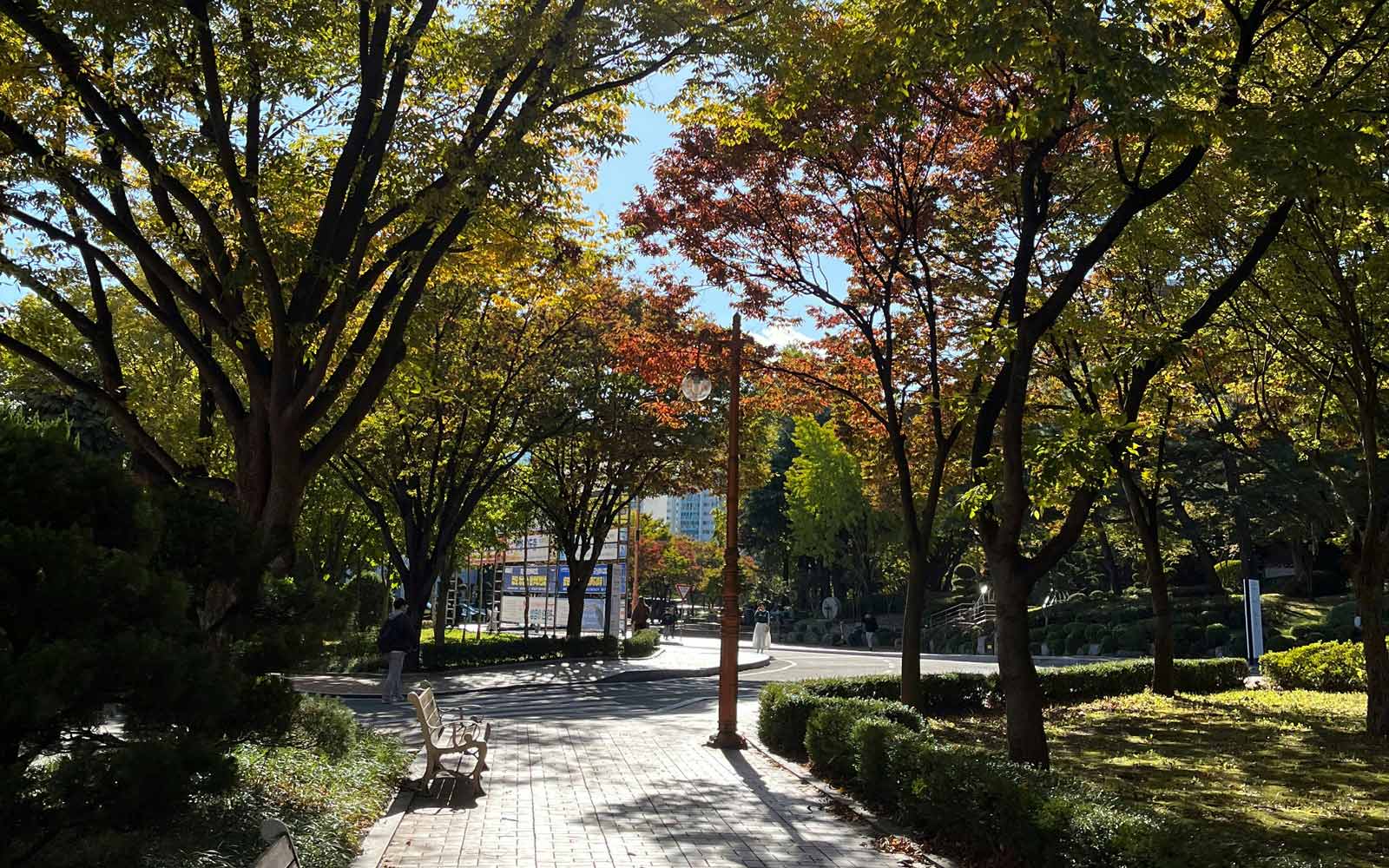 Path and benches in a tree-lined park on Keimyung University campus. Photo by dnka ch on Unsplash.