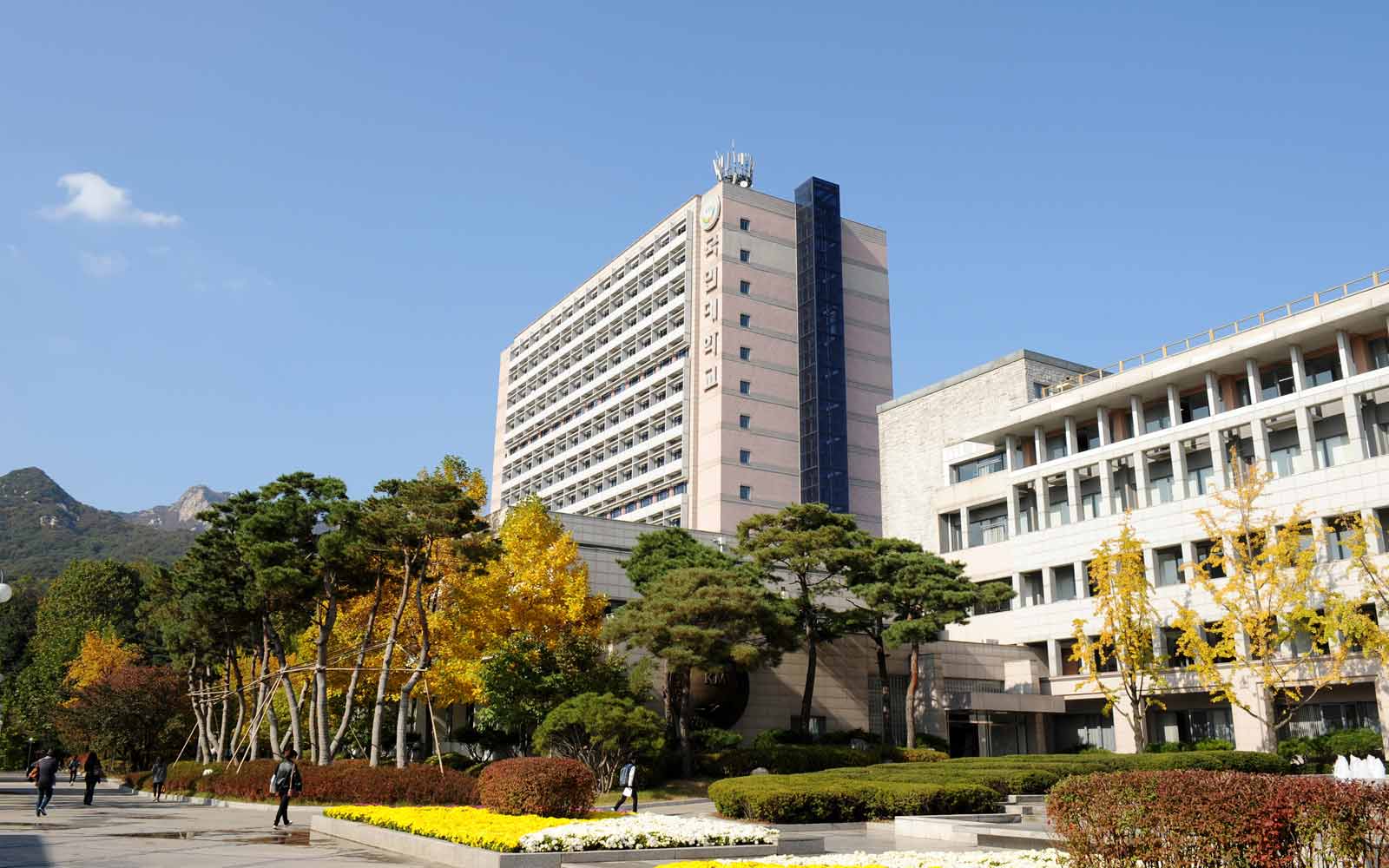 Tall modern building with Kookmin University sign, with tree-lined plaza in foreground.