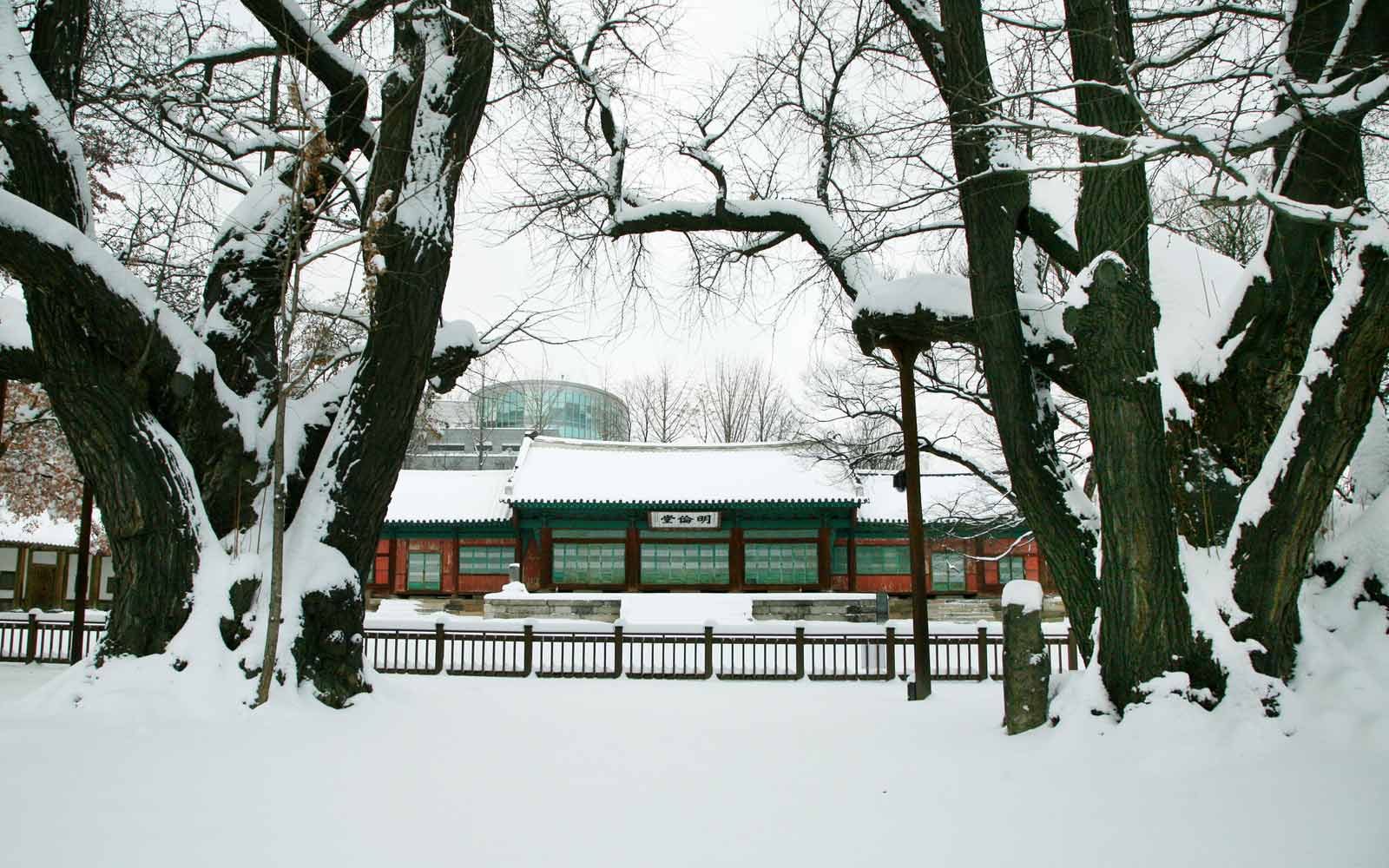 Campus building in the snow, Sung Kyun Kwan University campus.