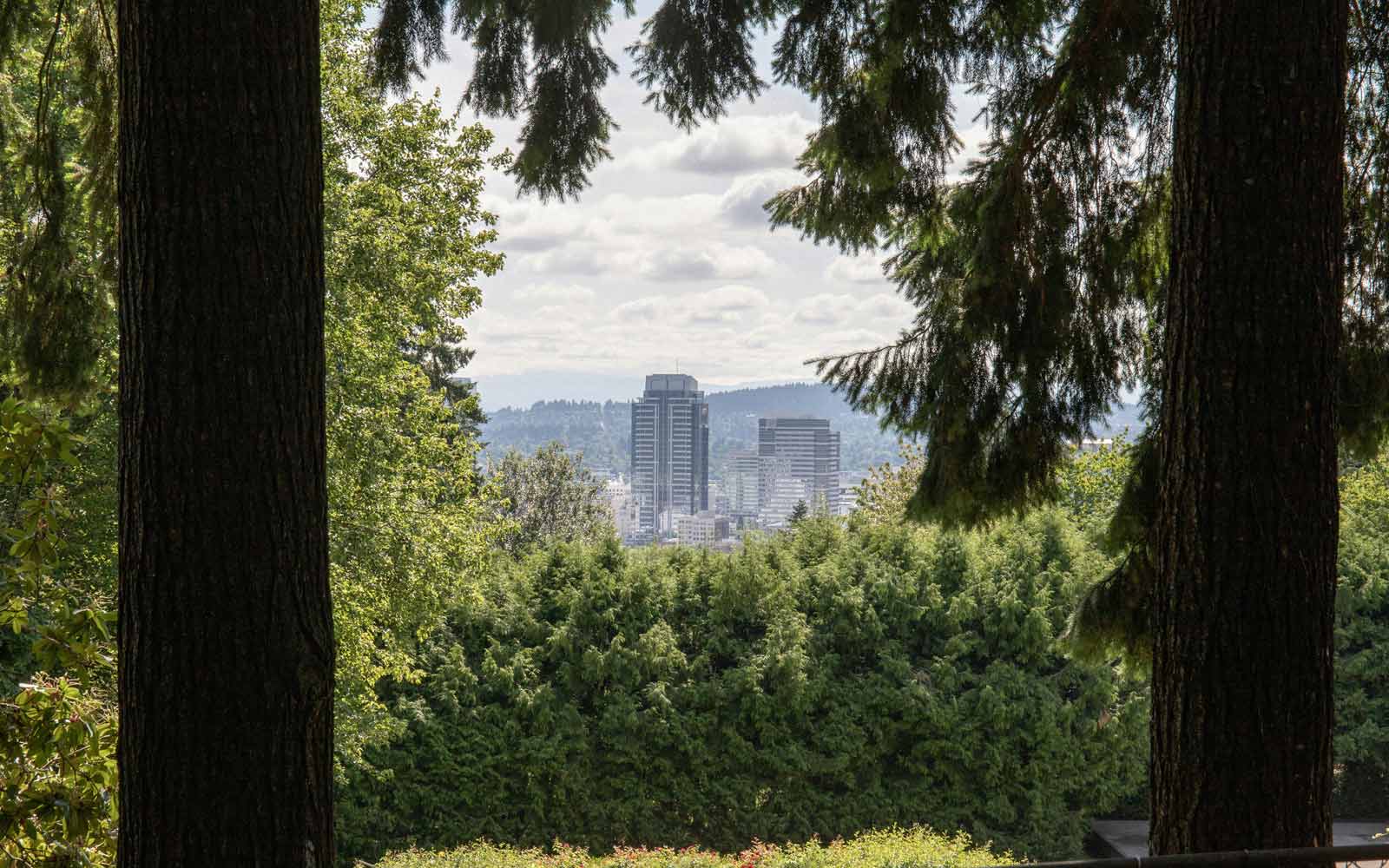 City through trees in Portland, Oregon. Photo by Mason Stallmo on Unsplash.