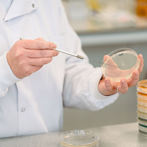 Student working in lab