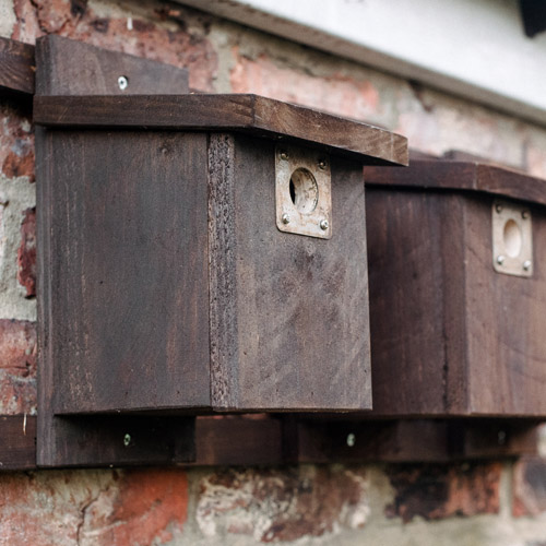 Close up of two wooden bird boxes on a campus wall