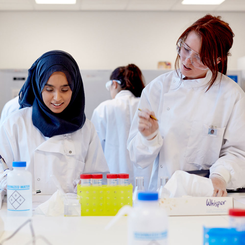 2 students working together in a lab.