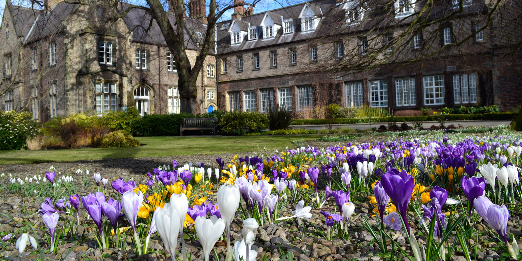 Flowers outside Lord Mayors Walk