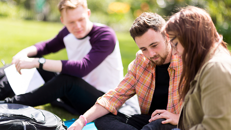 Students sat on the grass reading