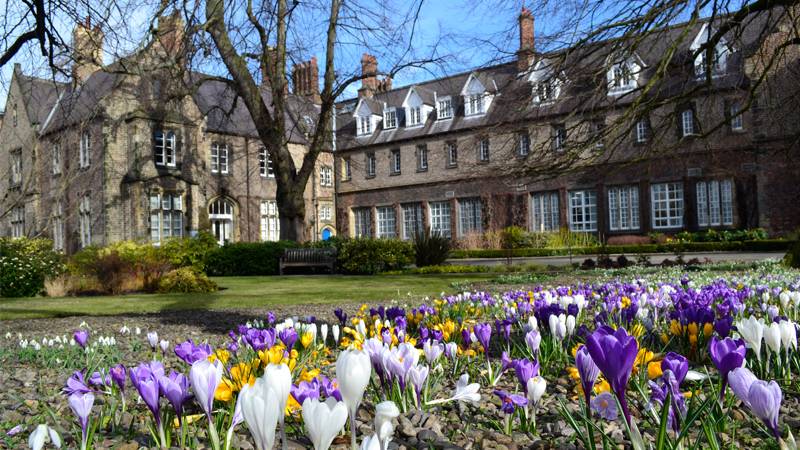 Flowers in front of Lord Mayors Walk