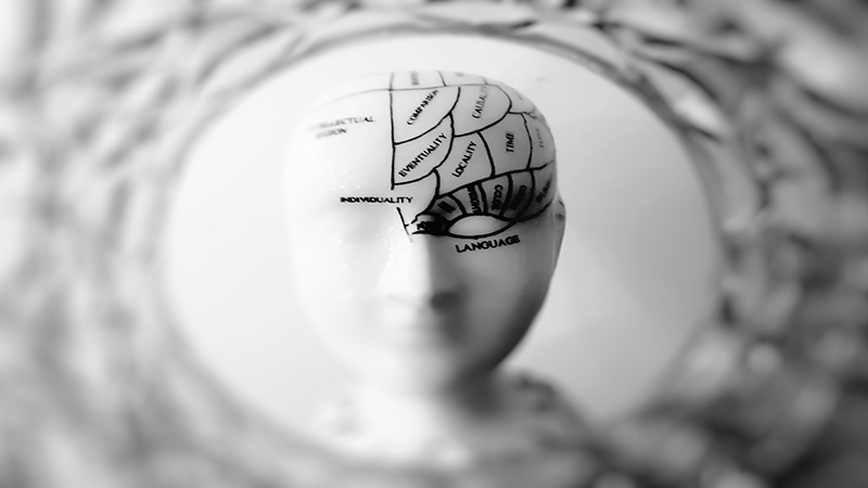 Active Life, Active Mind